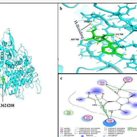 Ligand Interaction With Conserved Amino Acid Residues Of RdRp A