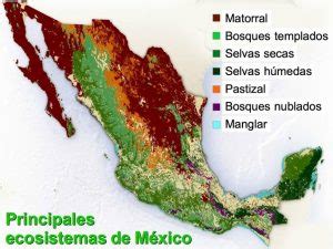 Ecosistemas de México - Ecosistema