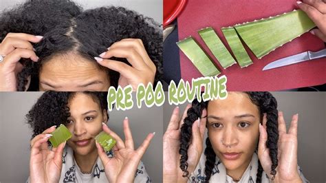 Pre Poo Routine For Dry Natural Hair Aloe Vera Youtube