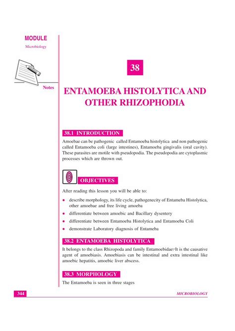 Pdf 38 Entamoeba Histolytica And Other Entamoeba Histolytica And Other Rhizophodia