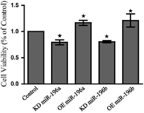 Overexpression Of MiR 196a B Enhances Cellular Proliferation While