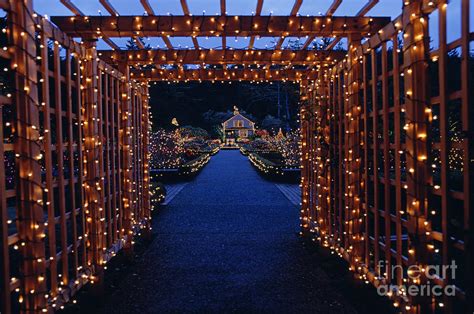 Shore Acres State Park Christmas Lights Photograph by Jim Corwin - Fine ...