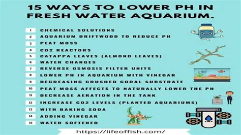 How To Lower Aquarium Water Level Top Effective Ways