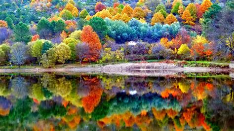 1600x900 Autumn Scenery Wallpaper,1600x900 Resolution HD 4k Wallpapers ...