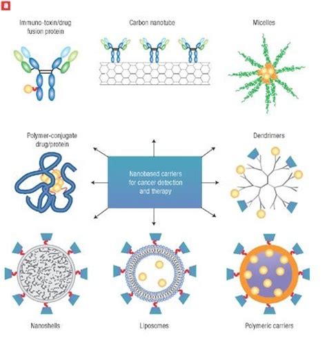 Types Of Nanocarriers Illustration Of Different Types Of Nanocarriers