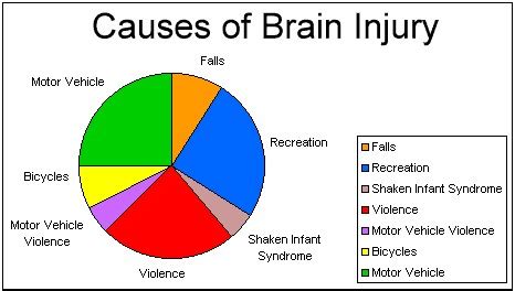 tbi survivor extraodrdinaire, traumatic brain injury