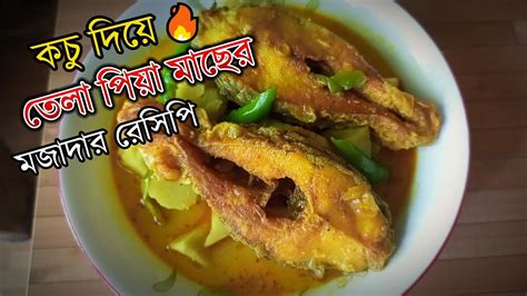 কচু দিয়ে তেলাপিয়া মাছের মজাদার রেসিপি Youtube