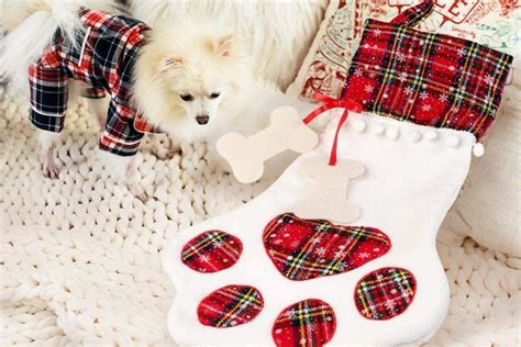 3 Affordable Christmas Stockings for Dogs: Fun Shapes & Personalization!