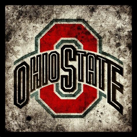 Ohio State O-H-I-O!!! | Custom pillow cases, Ohio state buckeyes, Ohio