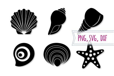 Shell Svg Set Starfish Svg Seashell Clipart Beach Cut File By Bunart