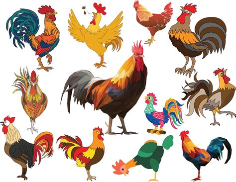 Rooster Clipart, Chicken PNG Watercolor Clip Art, Farm Bird Animal ...