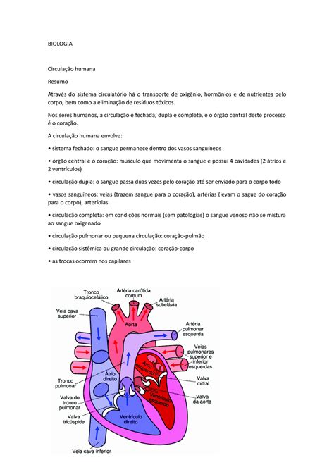 Biologia Biologia Circulação Humana Resumo Através Do Sistema