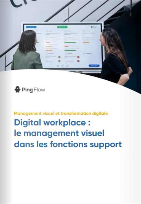 Pingflow Management Visuel Digital