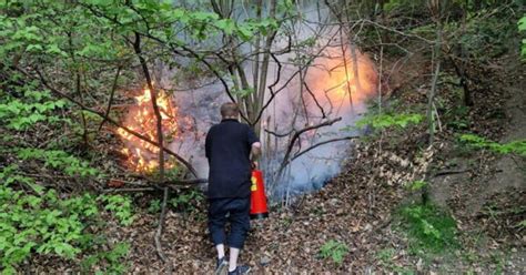 Vegetationsbrand Freiwillige Feuerwehr Kaltenleutgeben