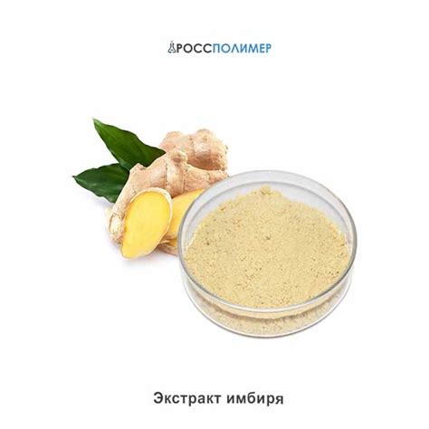 Экстракт имбиря купить по цене производителя ☛ Доставка по России ...