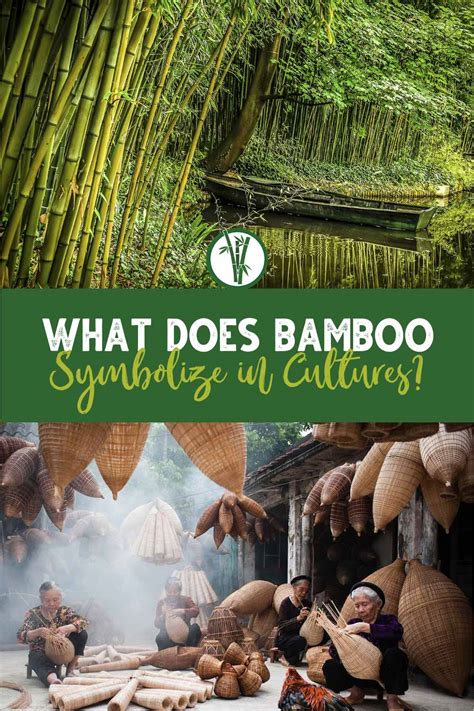 Bamboo Symbolism Decoded: Unveiling Hidden Meanings