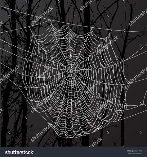 Realistic Spider Web Over Black Background Stock Vector 123271915