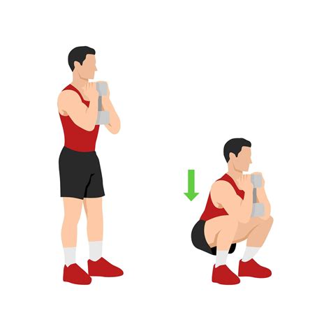 Top Compound Exercises For Full Body Workout - Infoupdate.org