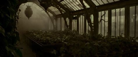 Greenhouse Three At Hogwarts Herbology Classes Harry Potter