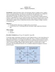 Lab Angular Kinematics Docx Kines Lab Angular Kinematics