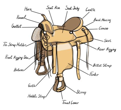 Western Vs English Riding What Is The Difference Horses