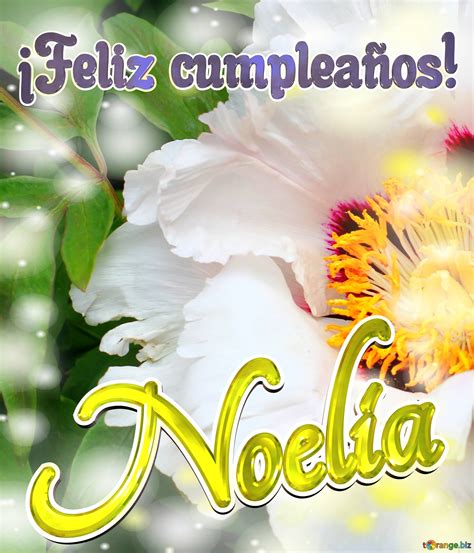 feliz Cumpleaños Noelia Imagen Libre 6334