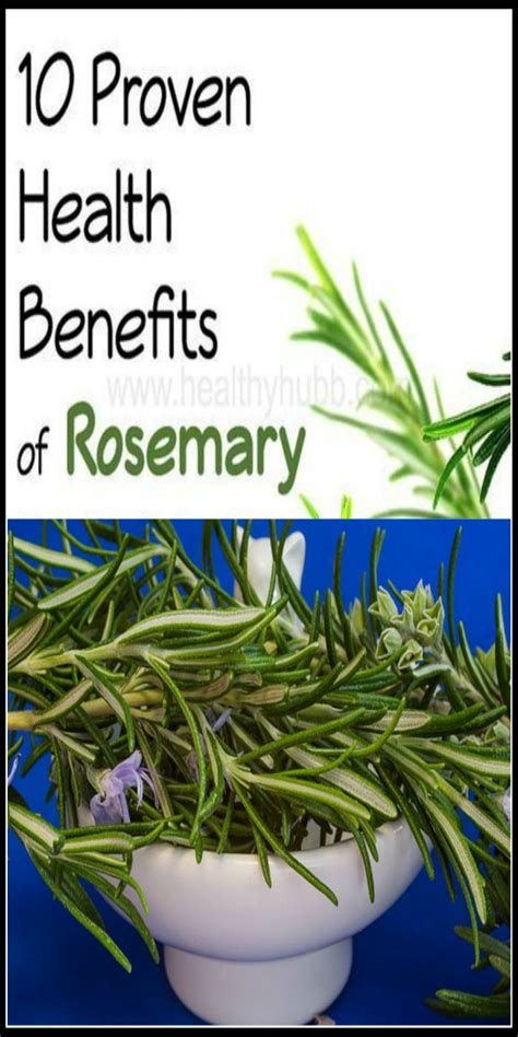 10 Proven Health Benefits Of Rosemary Health Health Benefits