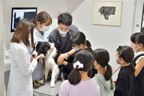 名古屋｜獣医さんと動物のお仕事体験 親子体験ならウィーケン！