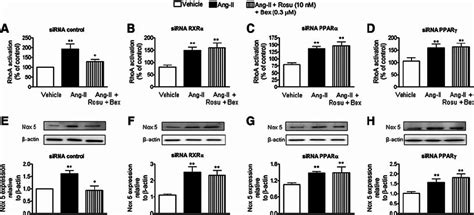 Silencing Of Endothelial Rxr A Ppar A Or Ppar C Blunted The Download Scientific Diagram