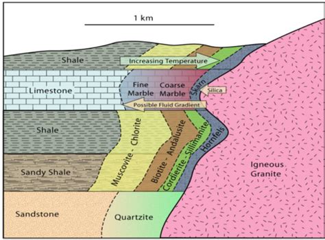 Metamorphic Rocks Labs 9 And 10 Lab Exam 3 Flashcards Quizlet