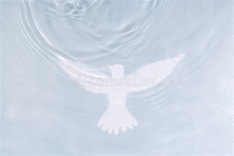 Catholic Baptism Symbols Dove