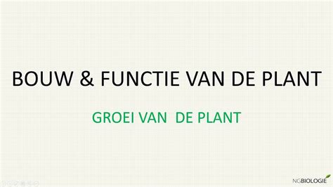 Bouw En Functie Van De Plant Groei Van De Plant YouTube