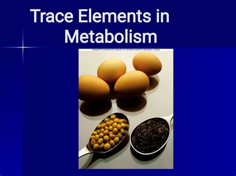 Trace Minerals Vital For Metabolism And Health Ppt