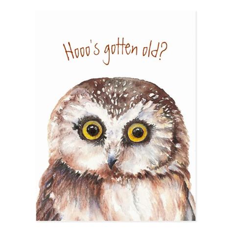 Who S Gotten Old Funny Birthday Wise Owl Humor Postcard