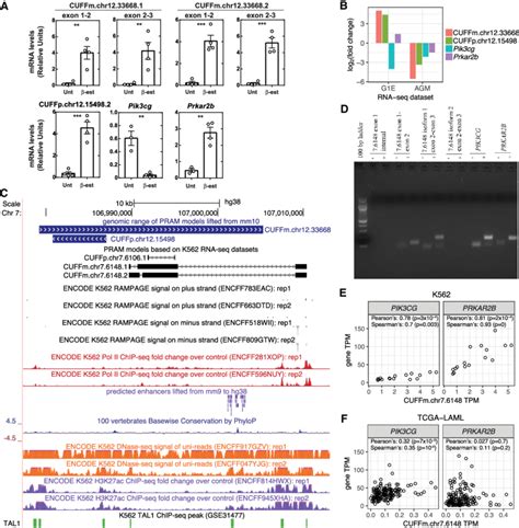 Expression Of Pram Transcripts Correlate With The Neighboring Gene