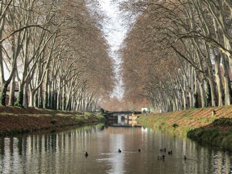 En Barco Desde El Garona Al Canal Du Midi En Toulouse 1 Opiniones Y 37 Fotos