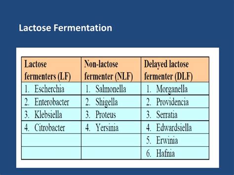 PPT - Diagnostic microbiology lecture: 1 Enterobacteriaceae Abed ElKader Elottol MSc ...