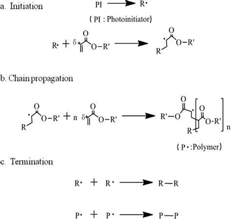 Mechanism of radical polymerization of double bond | Download Scientific Diagram