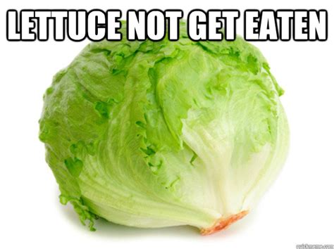 Lettuce Fuck Memes Quickmeme