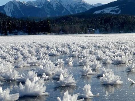 Flores De Hielo Y Lluvia Engelante Los Fen Menos Extremos Que Trae La