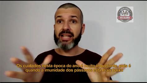 Os Passos De Cuidar Do Seu Coleiro Papa Capim Na Muda De Penas Youtube