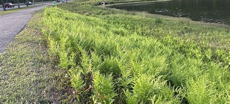 Myrtle Beach Path , South Carolina - 19 Reviews, Map | AllTrails