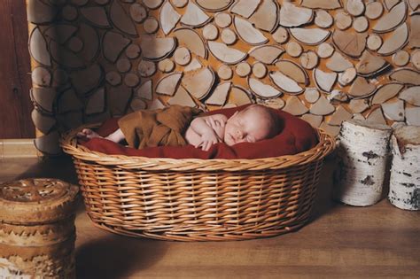 Newborn Baby Wrapped In A Blanket Sleeping In A Basket Premium Photo