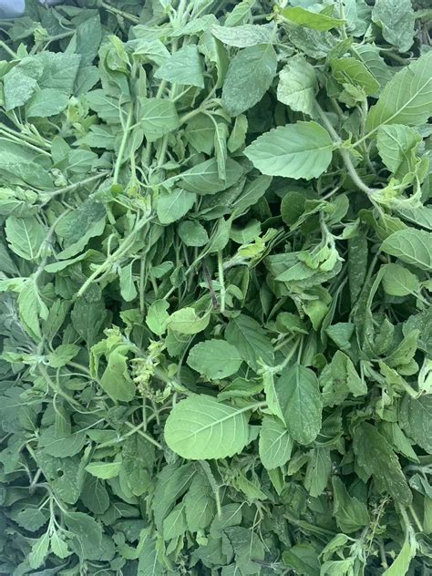 PAN-ASIA SUPERMARKET - Tulsa OK - Hours, Directions, Reviews - Loc8NearMe