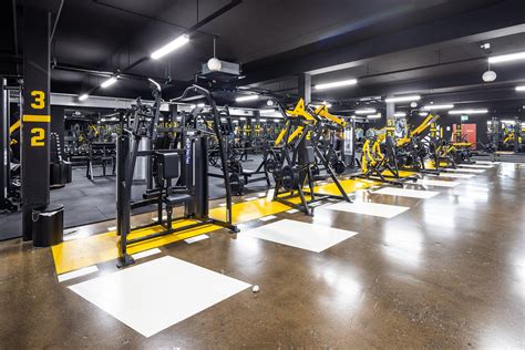 Stadium Premier Fitness Gladstone Life Fitness