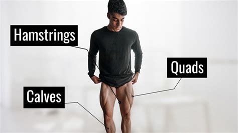 My Leg Workout Explained Quads Hamstrings Calves Legs Push Pull