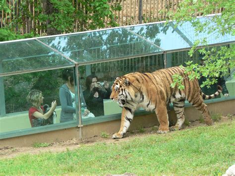 Le Plus Grand Zoo Du Monde – Esam Solidarity