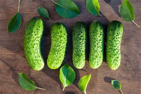 Boston Pickling Cucumber Seeds Heirloom Hometown Seeds