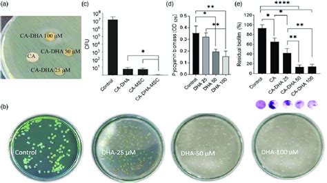 The Antibacterial And Antibiofilm Activities Of Composite Scaffolds