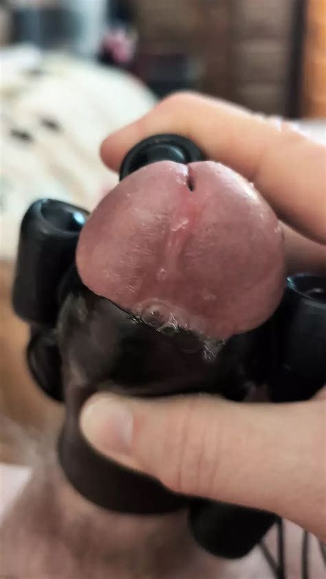 Motors Vibration Modes American Gay Bear Bear Porn XHamster